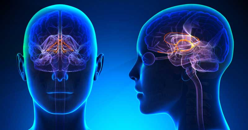 Área de neurología